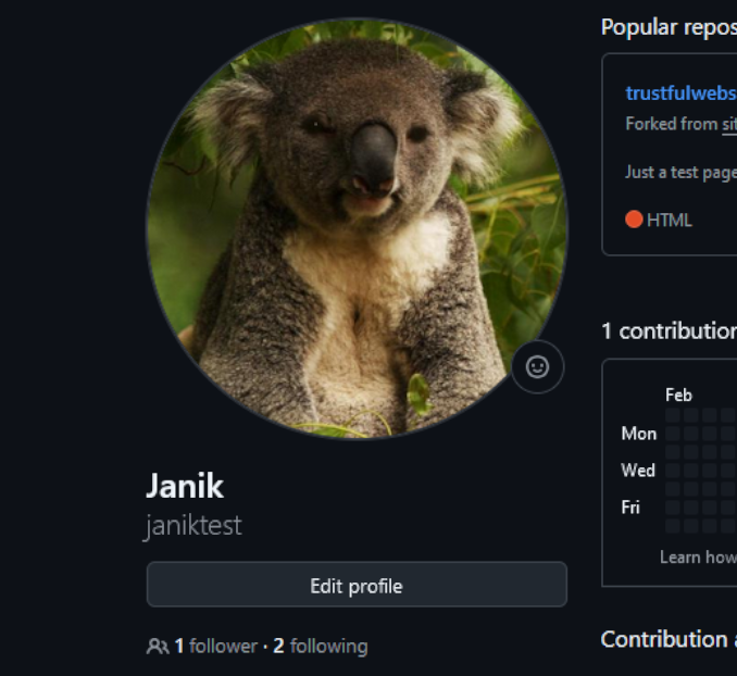 Bildschirmfoto des GitHub Profiles